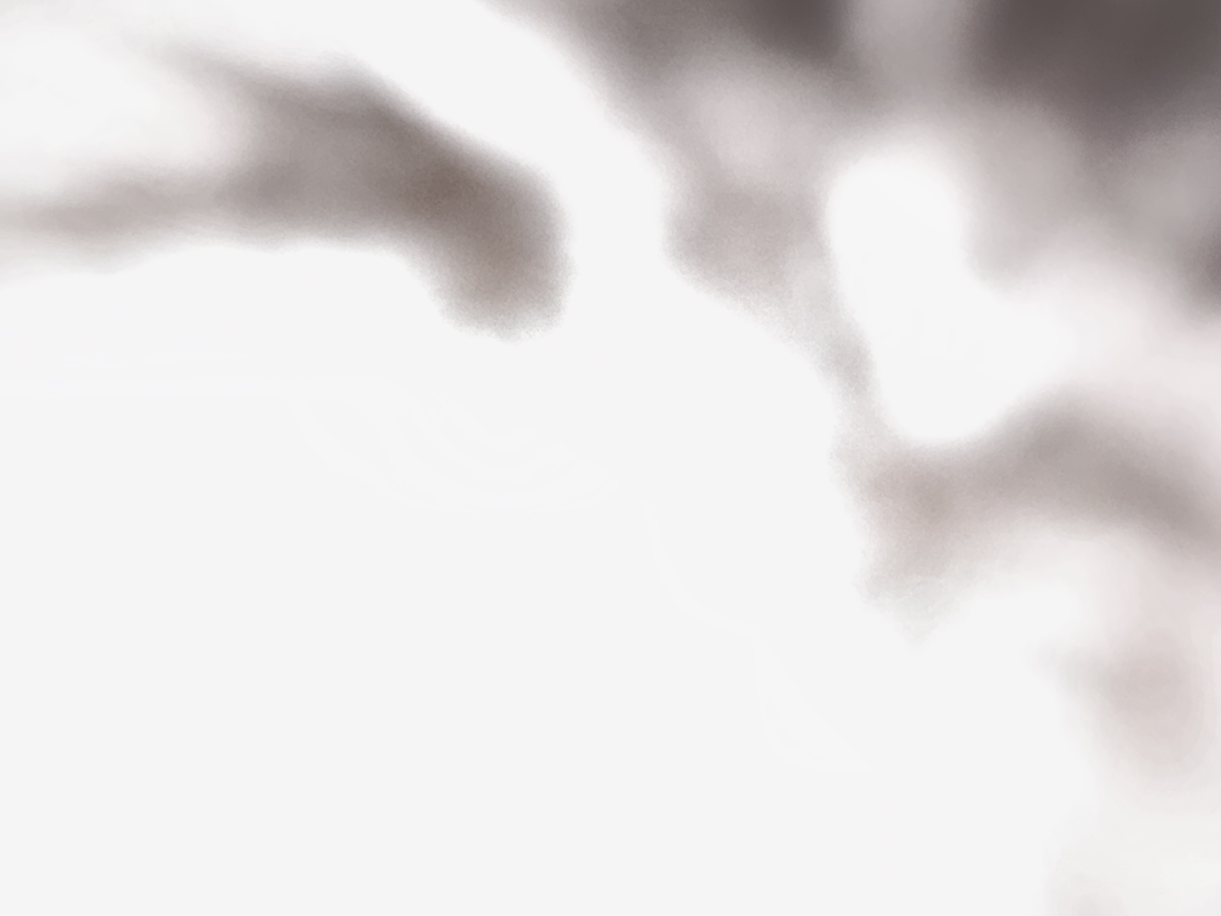 Sandwich & Juice Maker